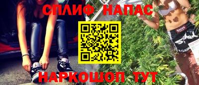 apvp Бийск