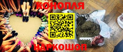 apvp Бийск