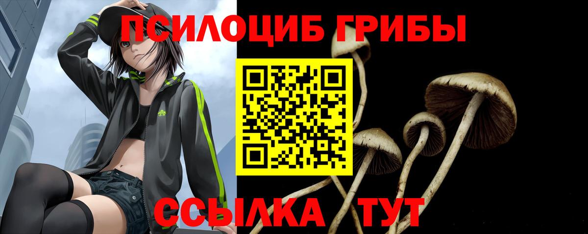 Зеленодольск  Псилоцибиновые грибы MAGIC MUSHROOMS  Вход с VPN  Псилоцибиновые грибы Magic Shrooms 